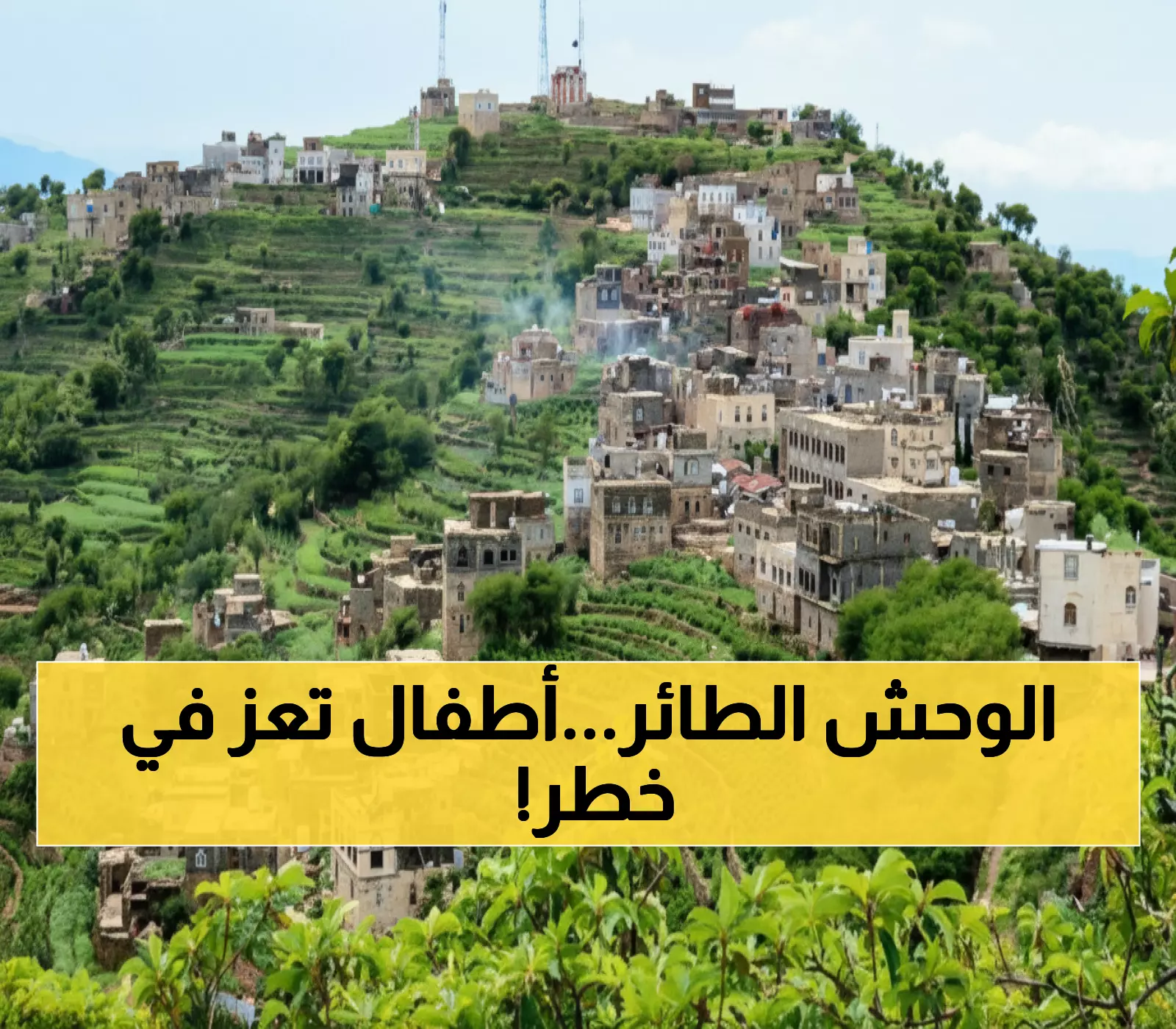 عاجل: حيوان مفترس نادر يغزو تعز بسرعة 80 كم/ساعة... السكان يحذرون: أطفالكم في خطر!