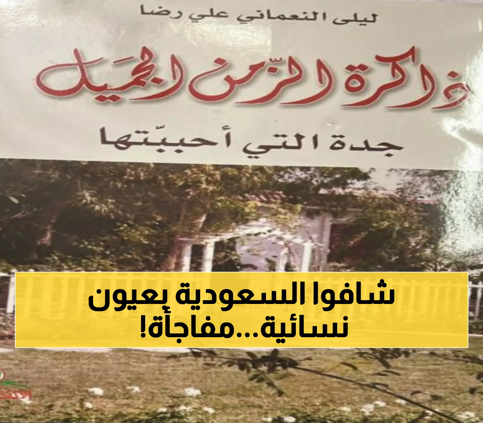 حصري: 3 كنوز أدبية نسائية تكشف أسرار الوطن السعودي في يومه الـ95 - لأول مرة!