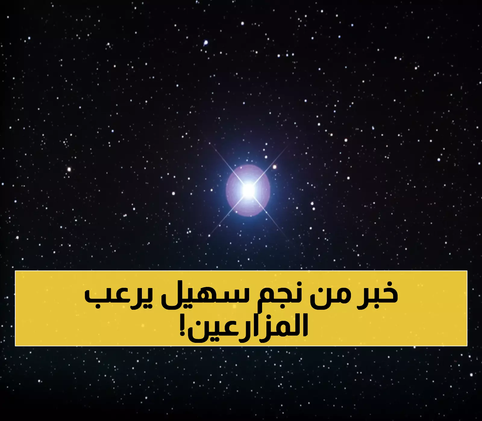 عاجل: فلكي يمني يكشف موعد ظهور نجم سهيل ويتنبأ بـ100 سيل في ليلة واحدة - المزارعون في حالة ترقب!