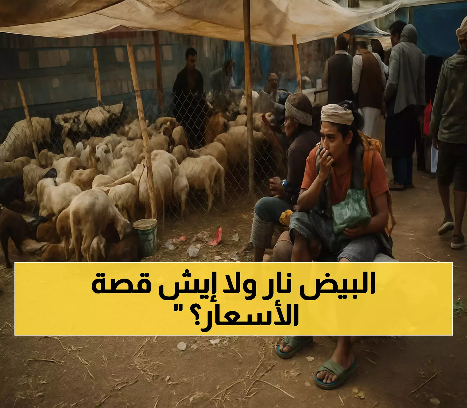 تفاصيل أسعار البيض في عدن اليوم 25 سبتمبر 2025