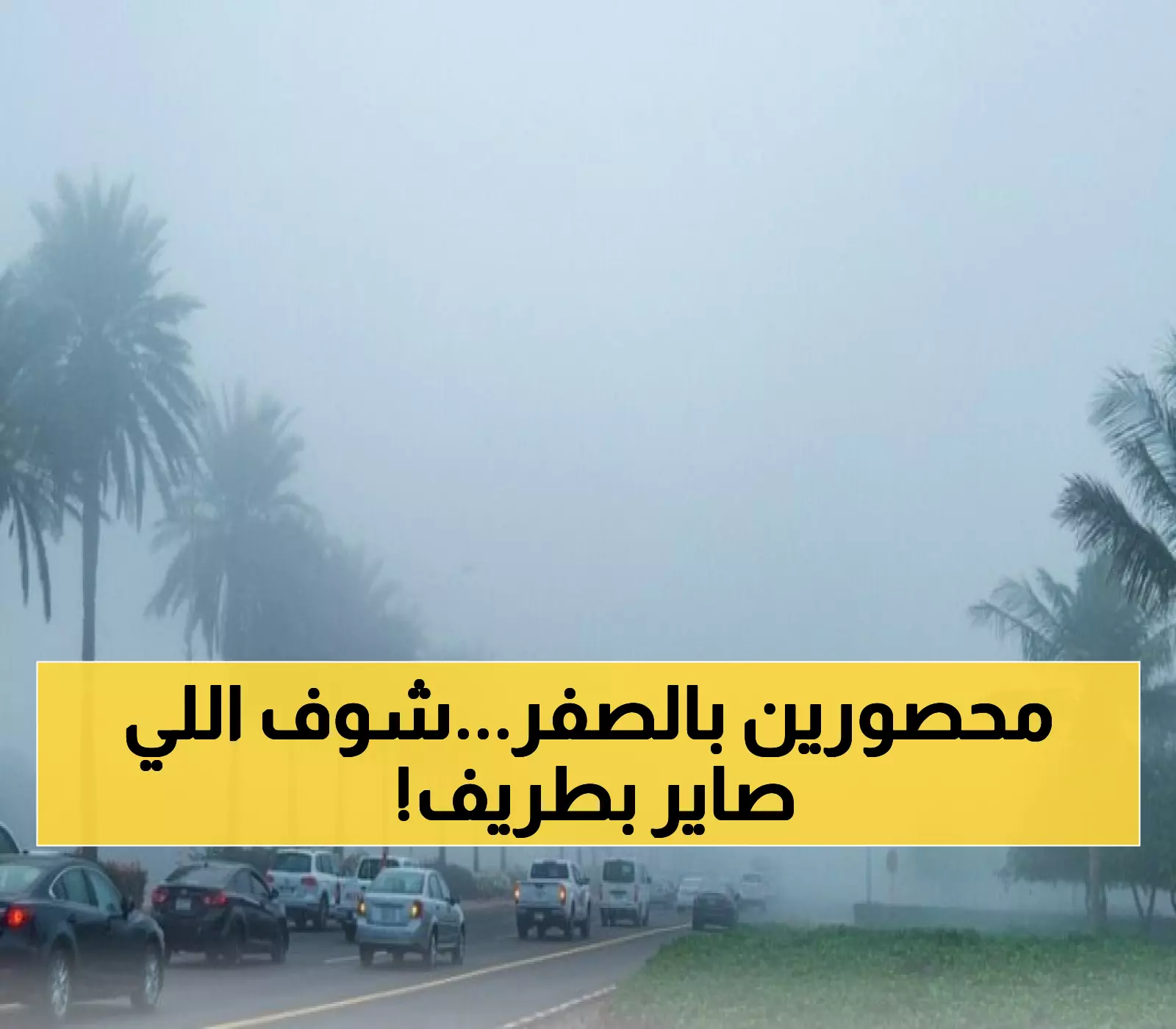 تحذير عاجل: ضباب خطير يلغي الرؤية نهائياً في طريف… السلطات تحذر من كارثة محتملة!