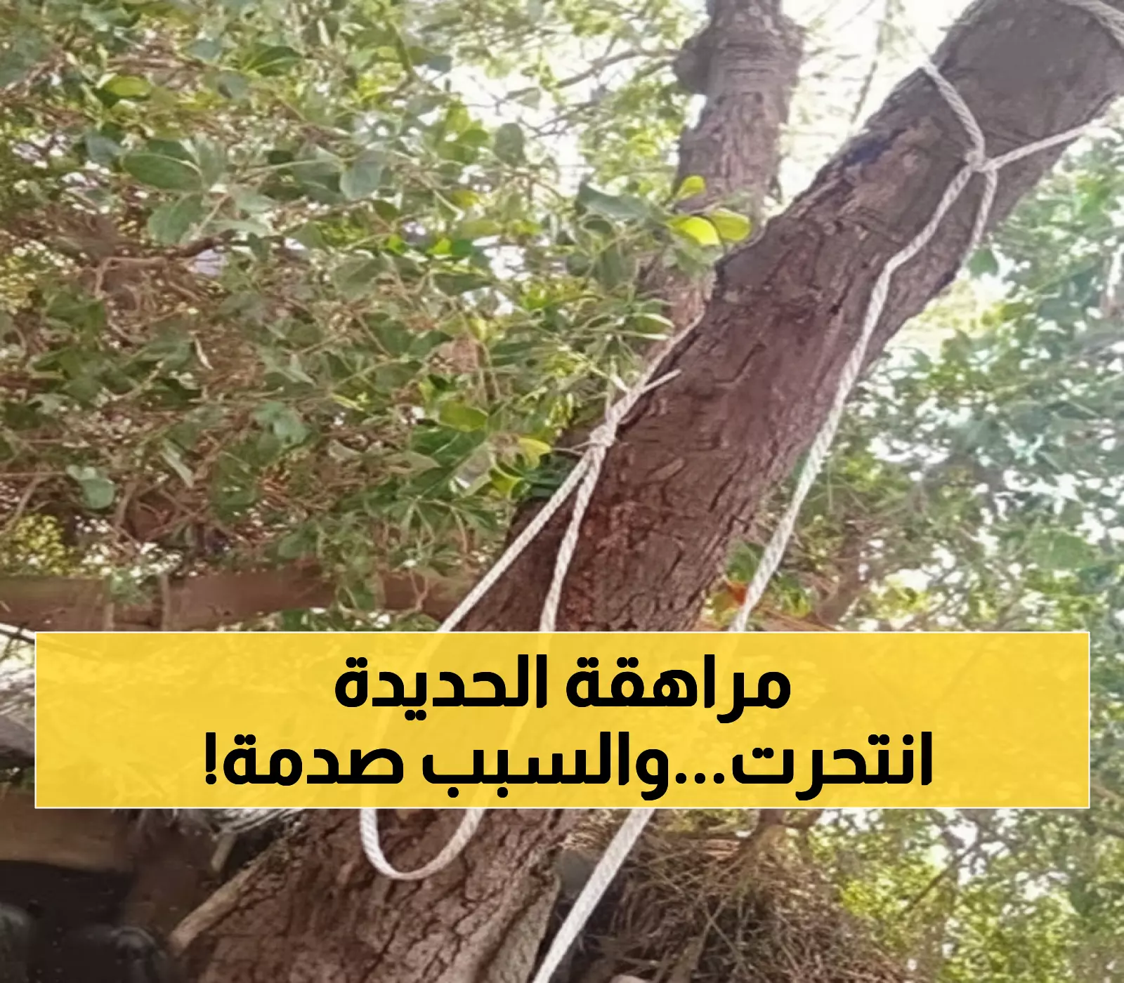 صادم بالحديدة: حوثي يدمر حياة فتاة ويدفعها للانتحار - الشرطة تعتقله والعدالة مجهولة!