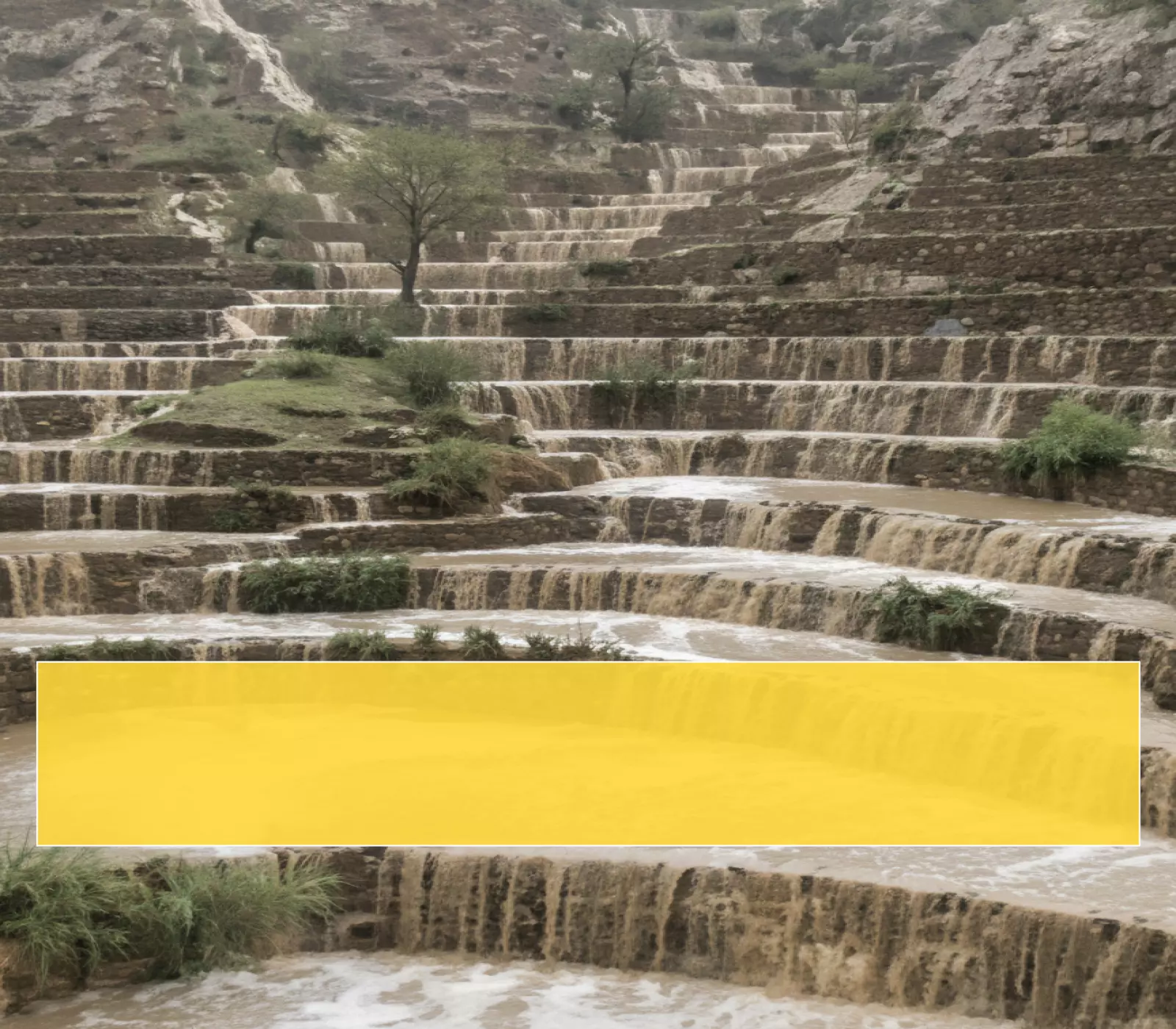 عاجل: المركز الوطني يحذر من عواصف رعدية خطيرة خلال 24 ساعة - انهيارات وسيول متوقعة!
