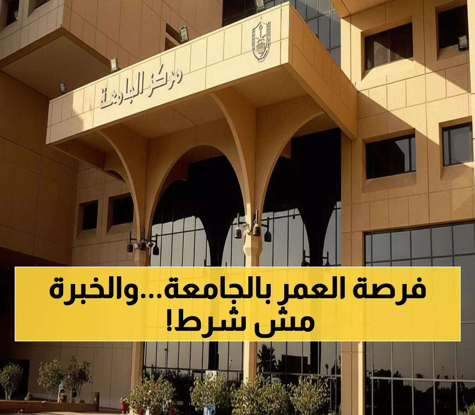 عاجل: جامعة الملك سعود تفتح باب التوظيف الفوري لأعضاء هيئة التدريس - بدون خبرة مطلوبة!