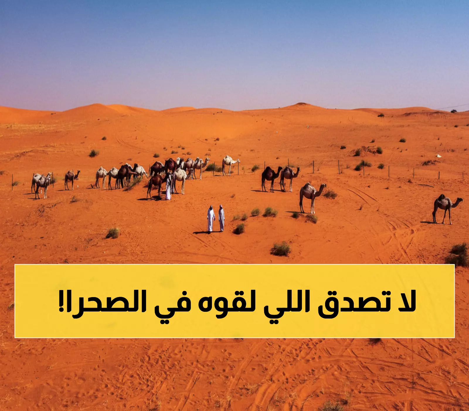 عاجل: منحوتات عمرها 12 ألف عام تكشف سر الحضارة المفقودة في صحراء السعودية