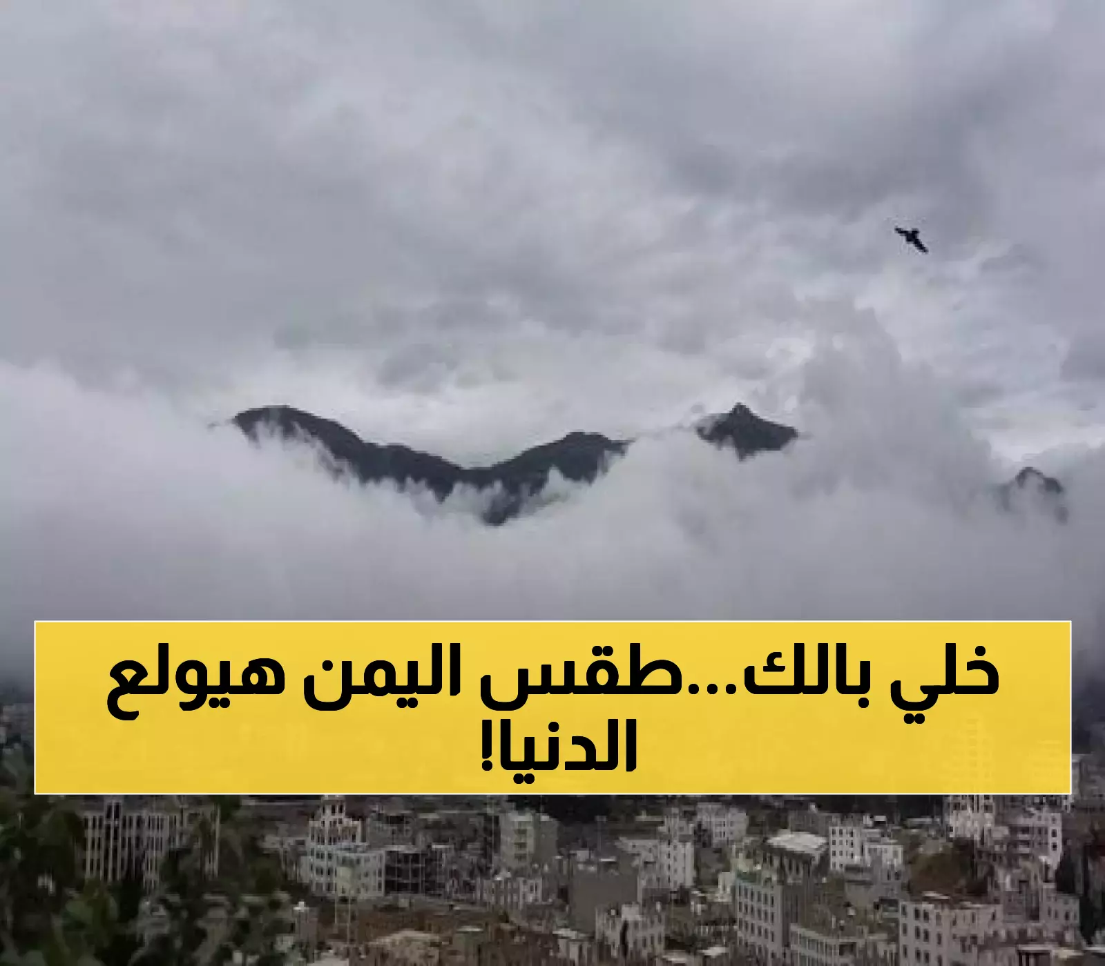عــاجل : أمطار رعدية ورياح تسونامية تضرب هذه المحافظات اليمنية خلال 24 ساعة.. احذروا الكارثة!