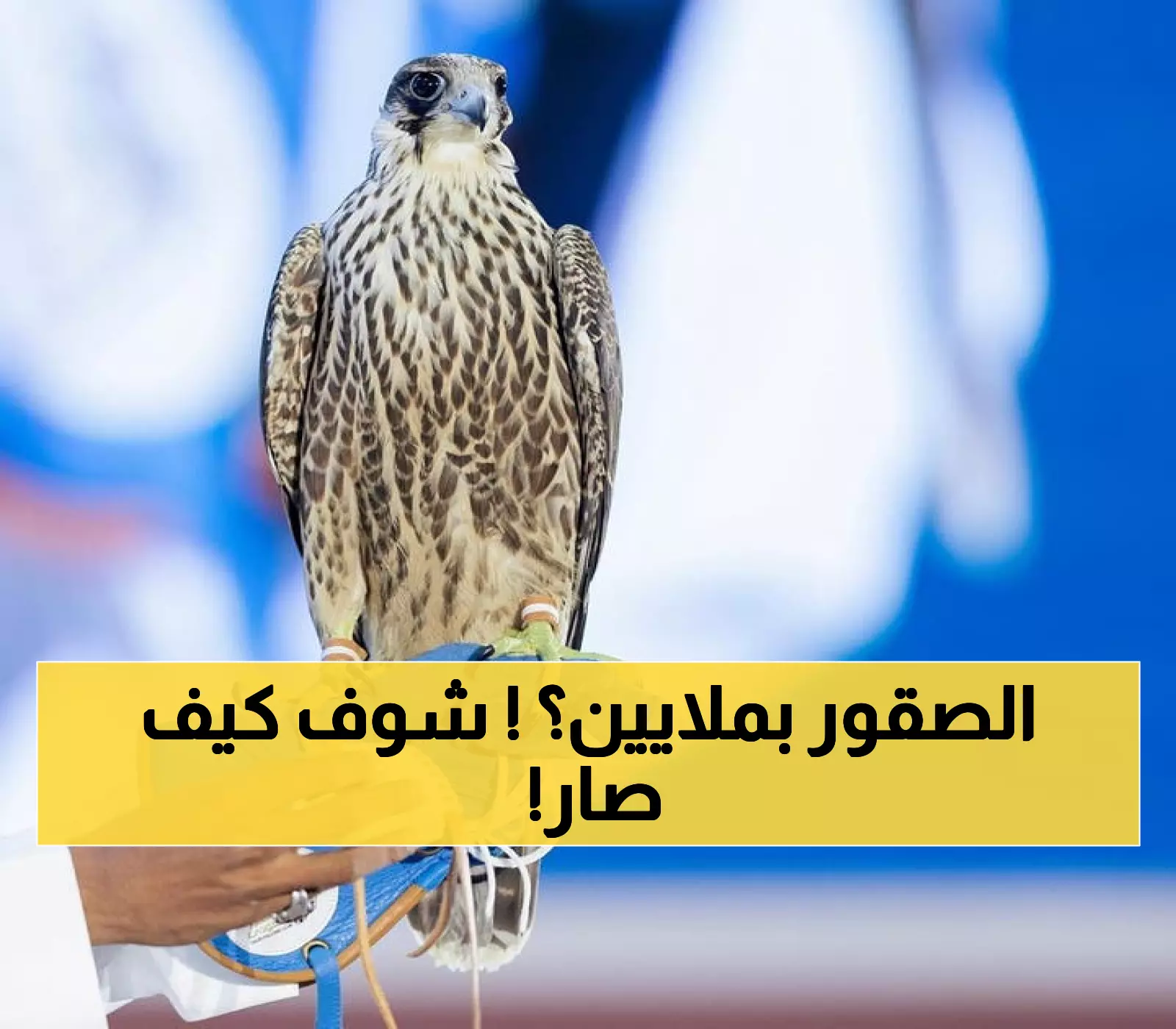 صادم: كيف حولت السعودية الصقور إلى كنوز تساوي 1.2 مليون ريال - ولي العهد يقود ثورة مليونية!