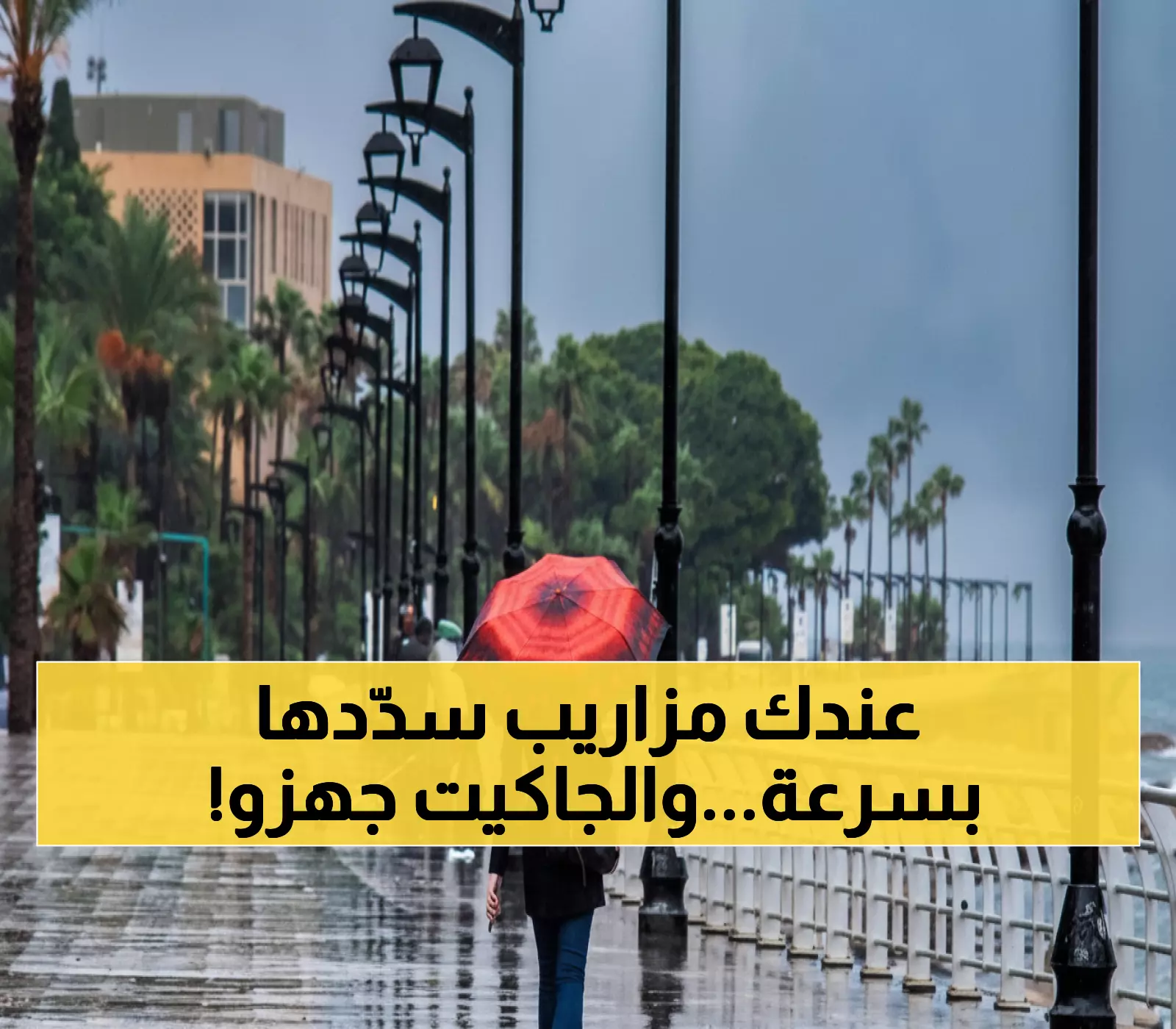 عاجل: خبير الأرصاد يحذر... أمطار غزيرة تضرب الشمال بـ15 ملم والحرارة تنهار 4 درجات!