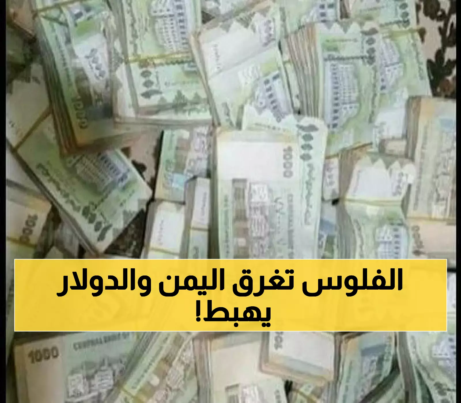 عـاجل : ملايين الريالات تغزو اليمن بدعم من دولة خليجية وسعر الصرف سينهار إلى حدود لا تُصدق خلال أيام !!