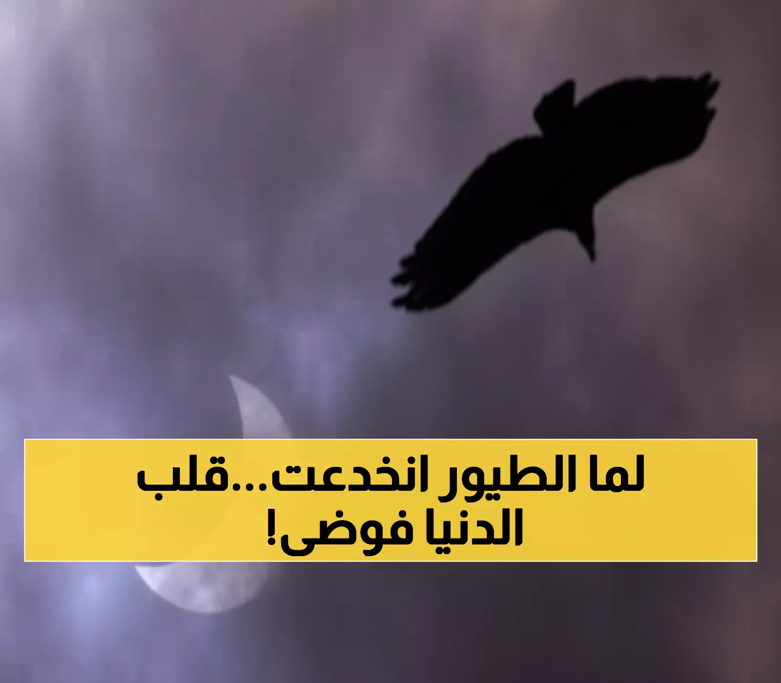 عاجل: اكتشاف صادم! 4 دقائق ظلام تخدع ملايين الطيور... ماذا فعلت عندما ظنت الفجر عاد؟