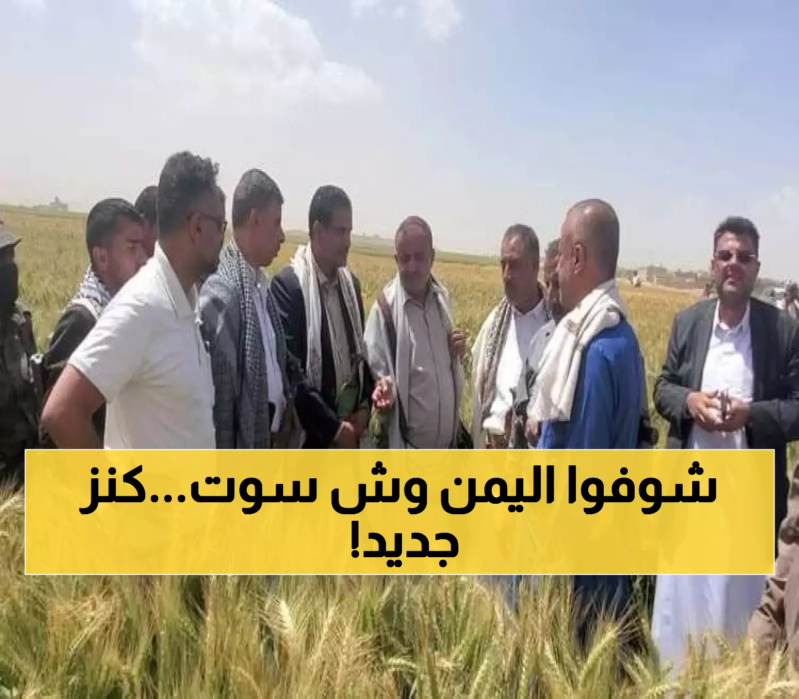 إنجاز تاريخي.. مزارعون يمنيون ينجحون في زراعة محصول ثمين سيدفع الاقتصاد اليمني إلى العالمية !!