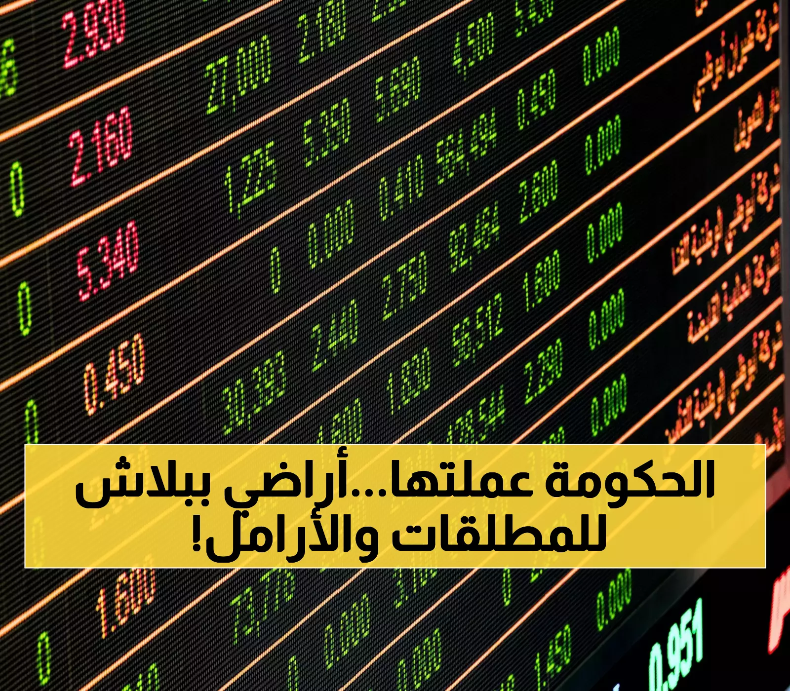 المطلقات والأرامل يحصلن على أراضٍ مجانية وتمويل إضافي: دليل شامل للتقديم والاستحقاق