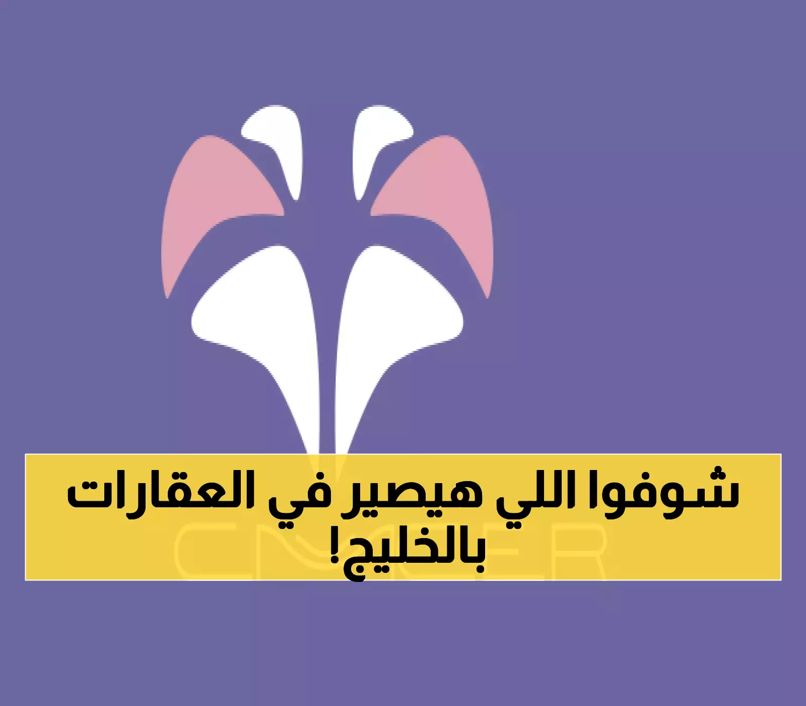 صندوق النقد يرفع توقعات نمو الخليج لـ 4.3%.. ويحذر من فقاعة عقارية قادمة