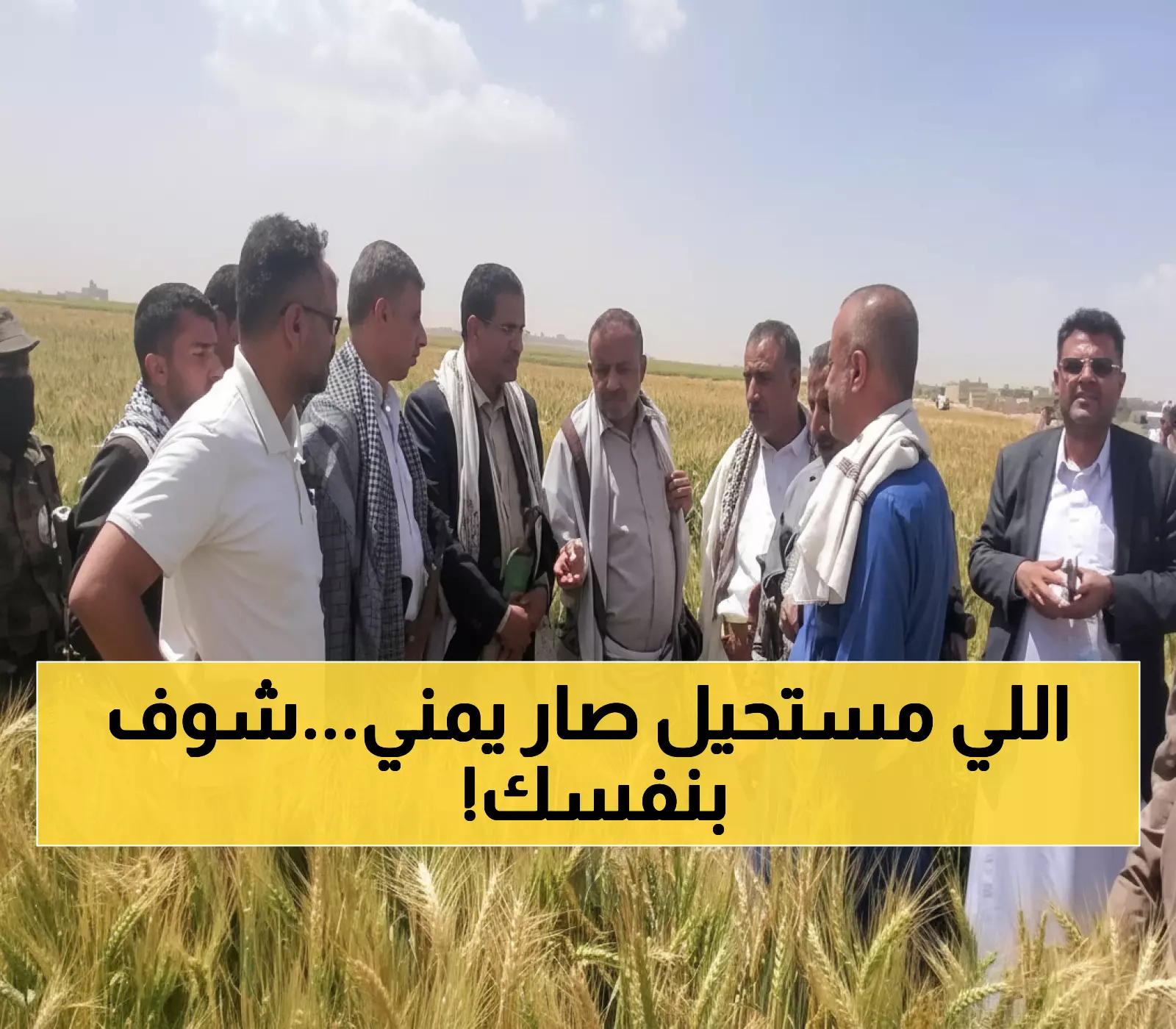 عاجل: مزارعو ريمة يحققون المعجزة - 100% نجاح في زراعة الزيتون خلال موسم واحد!