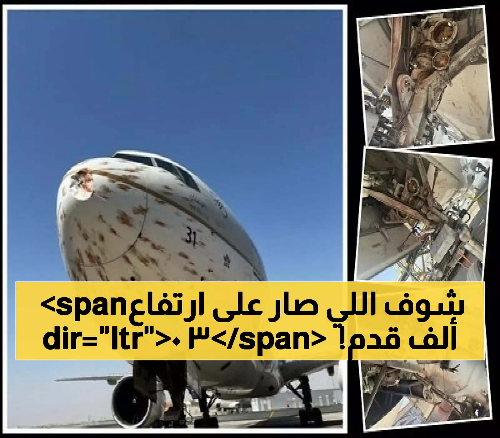 لحظات رعب: طائرة سعودية تصطدم بـ عشرات الطيور أثناء إقلاعها من الجزائر... و300 راكب ينجون بأعجوبة!
