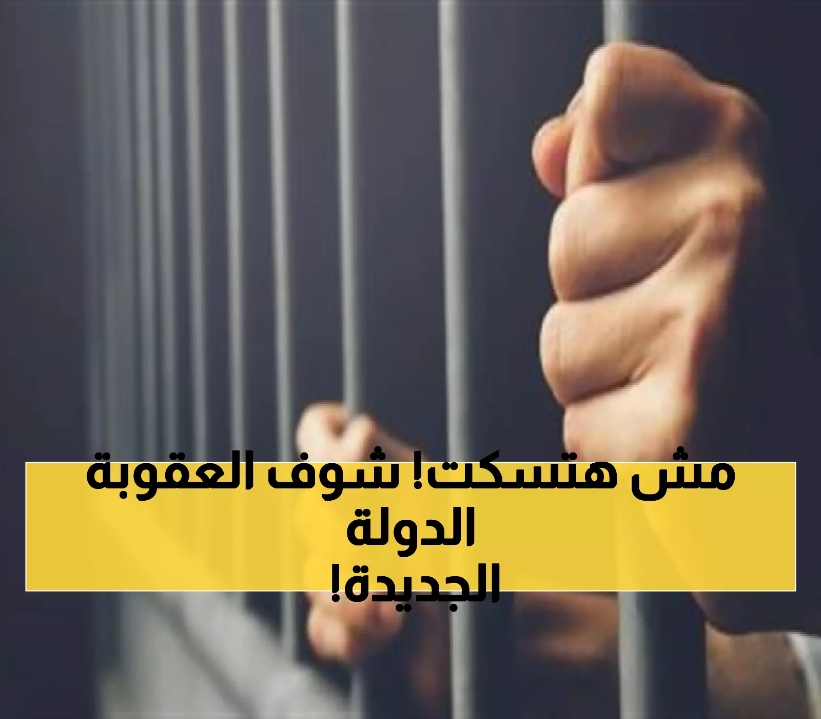 عاجل: حبس 6 أشهر وغرامة 5000 جنيه لكل من يكذب للحصول على دعم الدولة!
