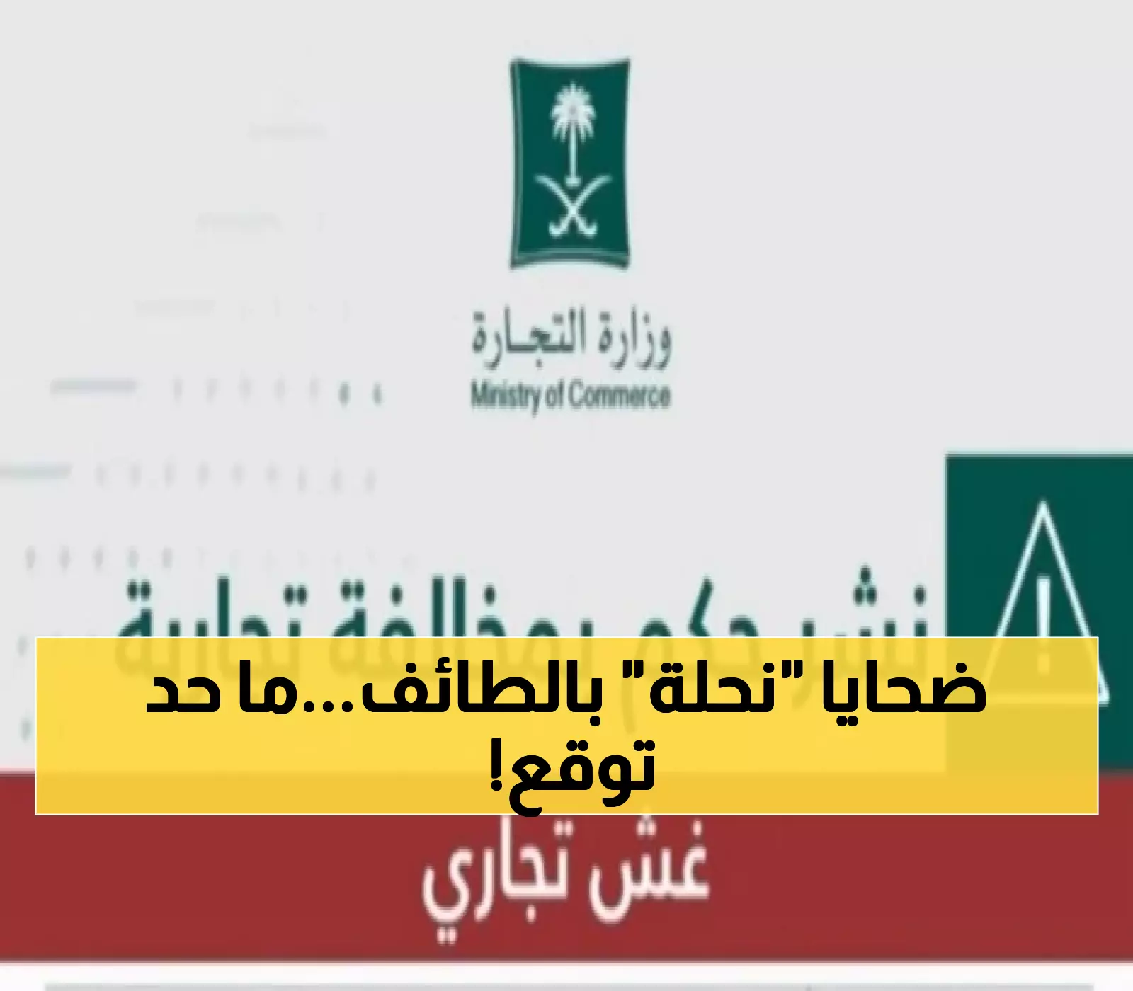 حصري: محاكمة 'شهد نحلة' بالطائف - كيف خدعت الزبائن بـ90 منتج منتهي الصلاحية؟