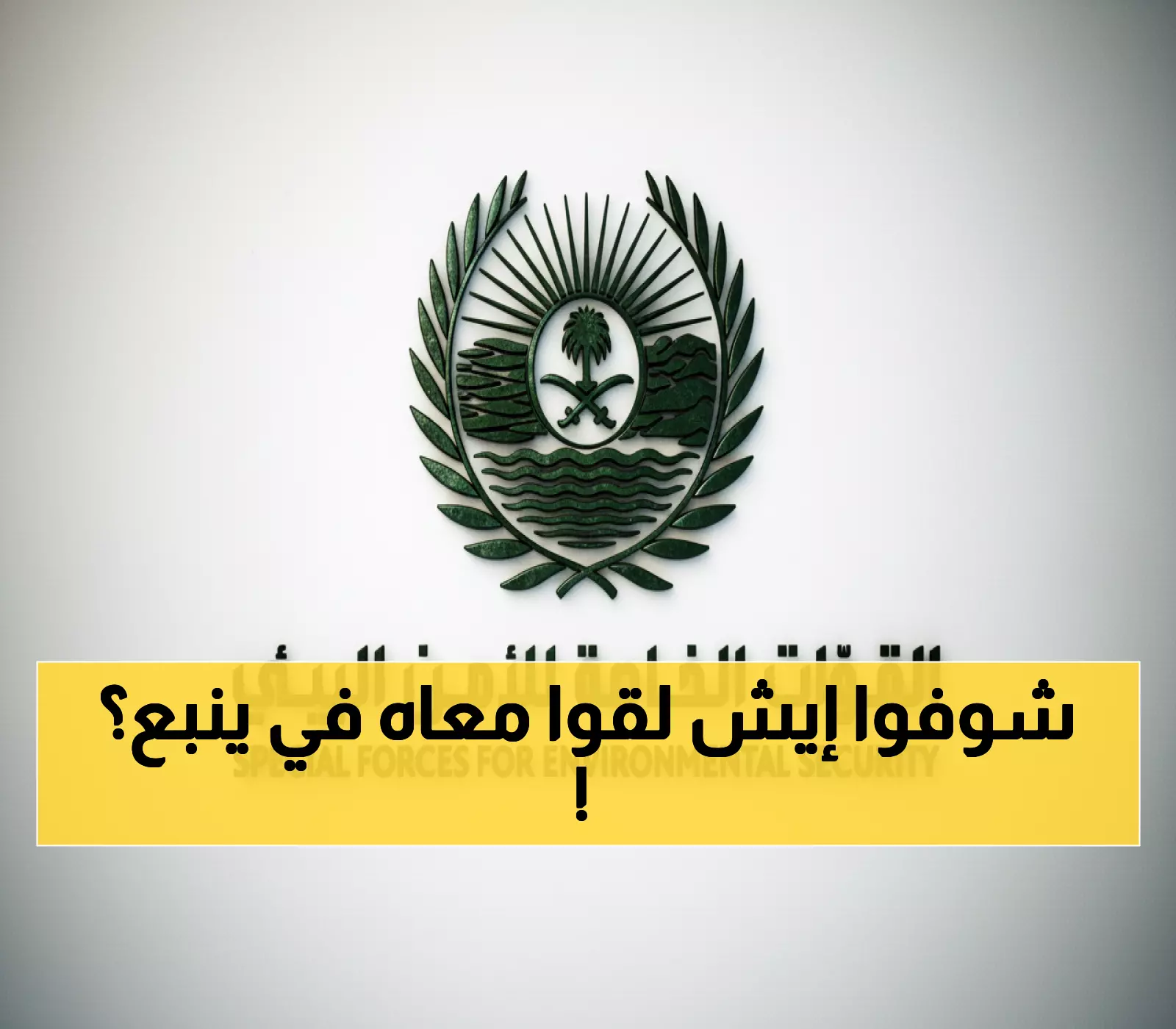 عاجل: ضبط مواطن بـ3 صقور في ينبع... غرامة 10 آلاف ريال تنتظر الصيادين المخالفين!