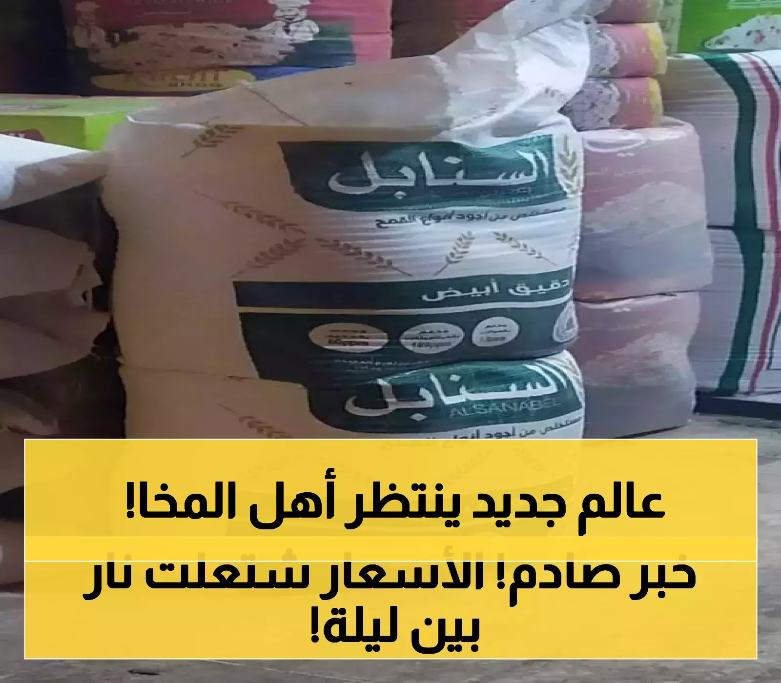وسط ارتفاع أسعار المعيشة.. مشاريع تنموية ضخمة في المخا تشعل شعلة الأمل باليمن