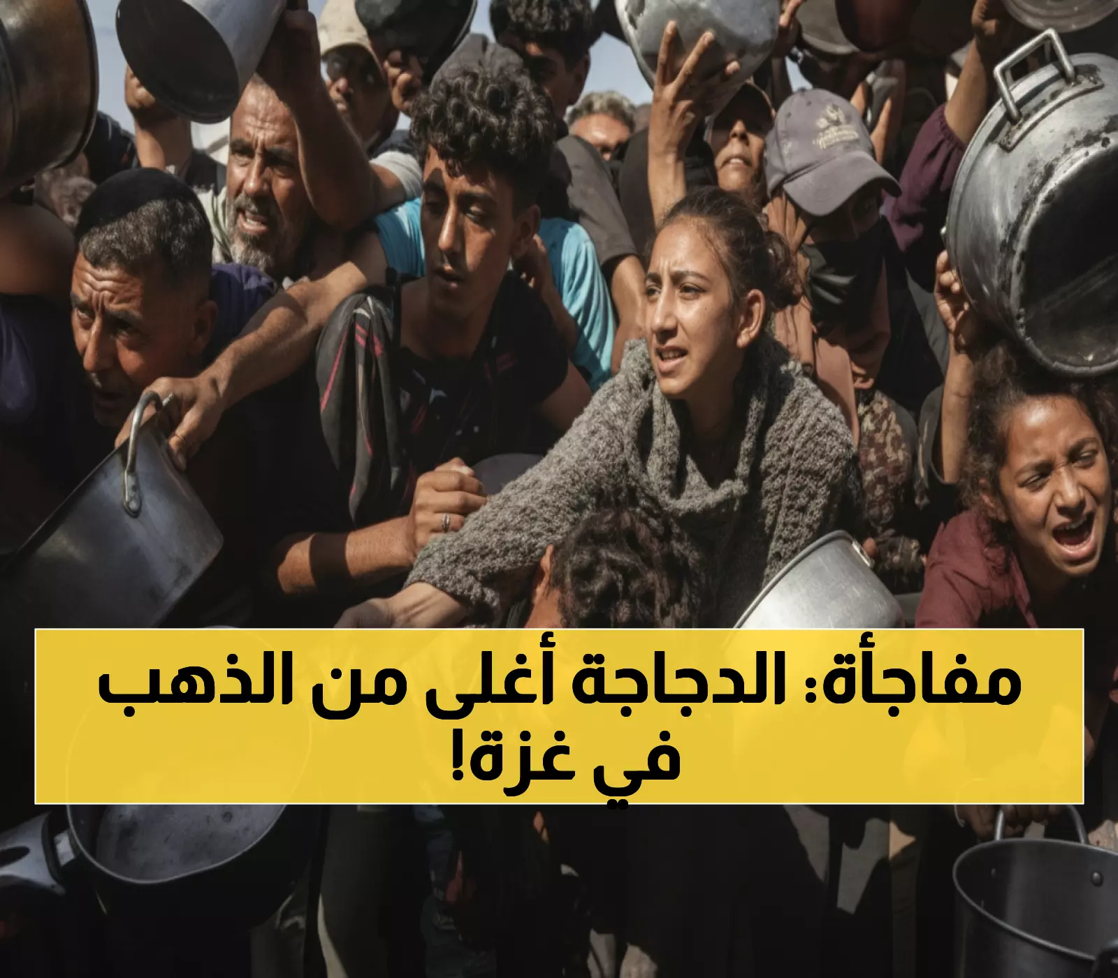 صادم: بينما ينشرون الرفاهية على فيسبوك... غزيون جائعون يدفعون 23 دولار لكيلو الدجاج!