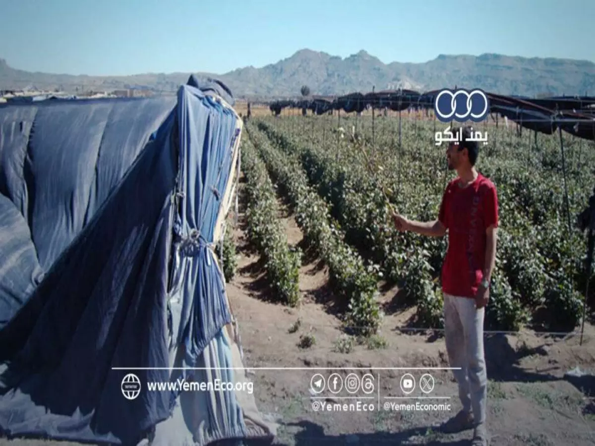 تحذير خطير: اليمن على موعد مع أبرد ليلة في العام... 1-7 درجات فقط!