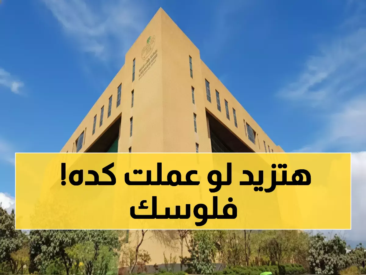عاجل: الحكومة تعلن مكافآت مالية تصل لـ25% لمن يبلغ عن المخالفات… كيف تستفيد من هذا القرار؟