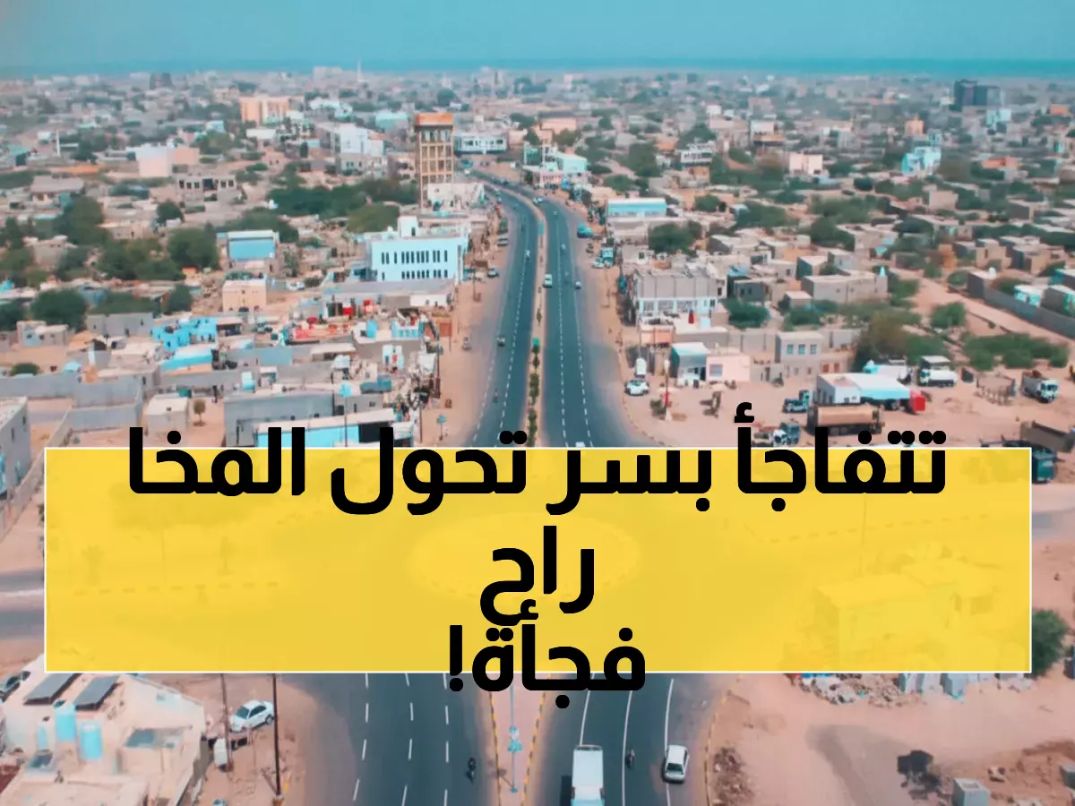 شاهد: كيف تتحول المخا التاريخية لعملاق اقتصادي؟ مستثمرون يتدفقون والموانئ تستيقظ من جديد...