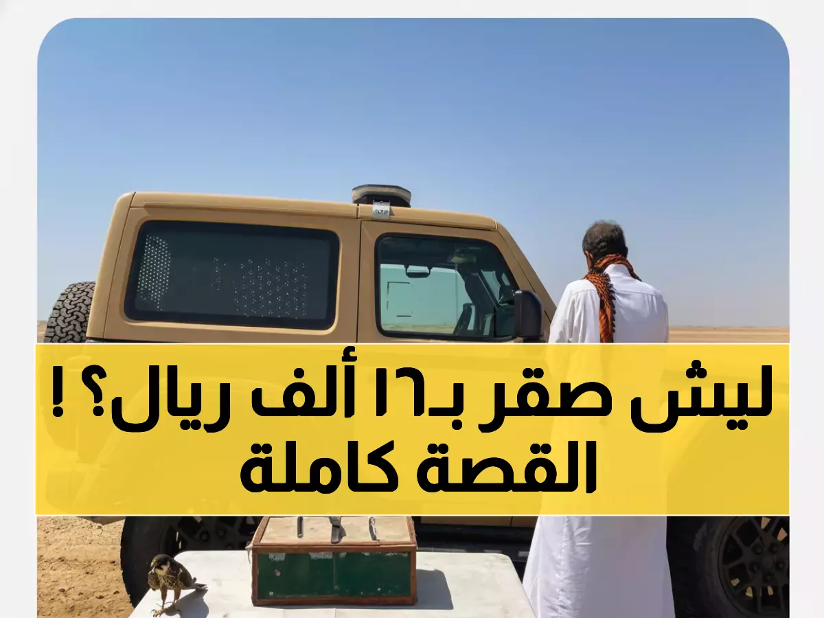 عاجل: القبض على مواطن بصقر محظور في ينبع - غرامة صادمة تصل لـ 16,500 ريال!