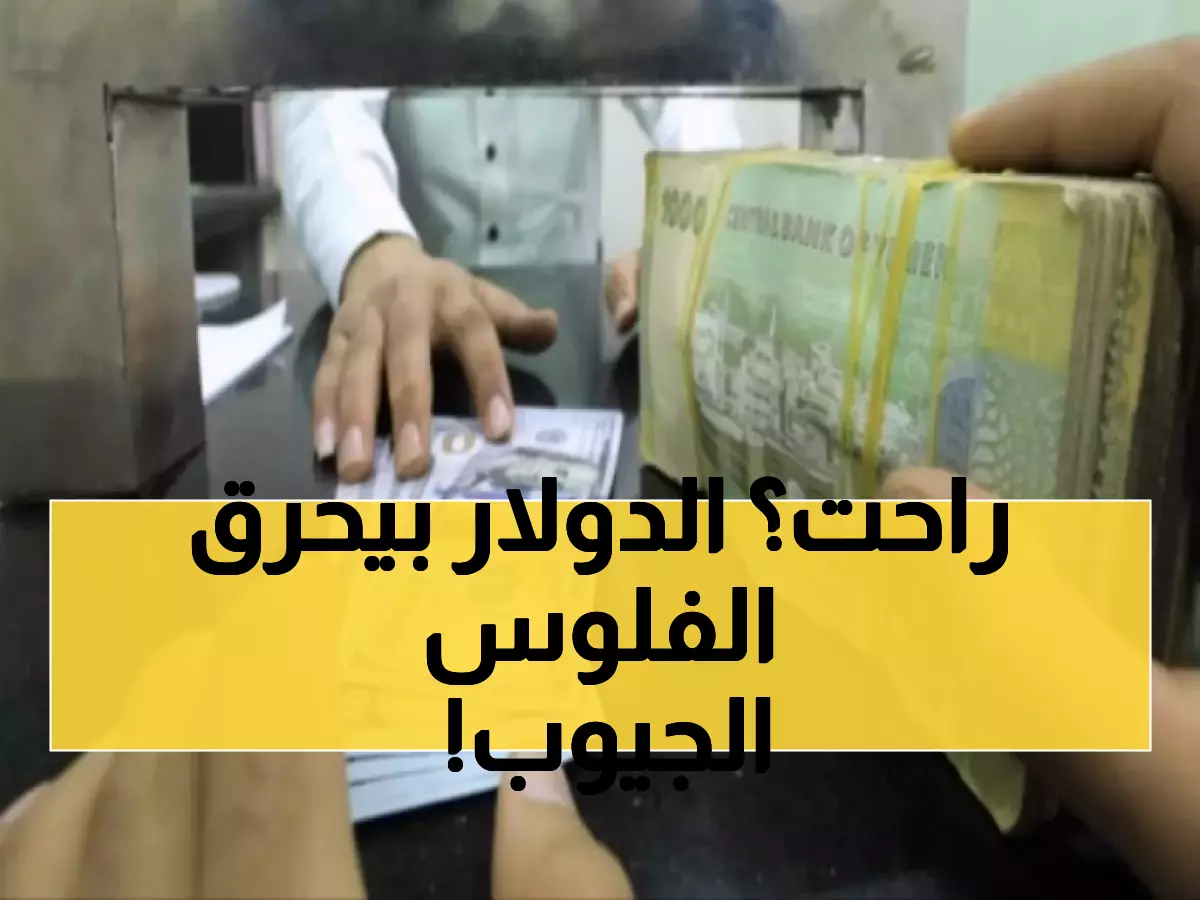 جنون لا يتوقف.. الدولار يحطم رقماً قياسياً جديداً ويهوي بالريال اليمني إلى هذا الحد الصادم لأول مرة في تاريخه!