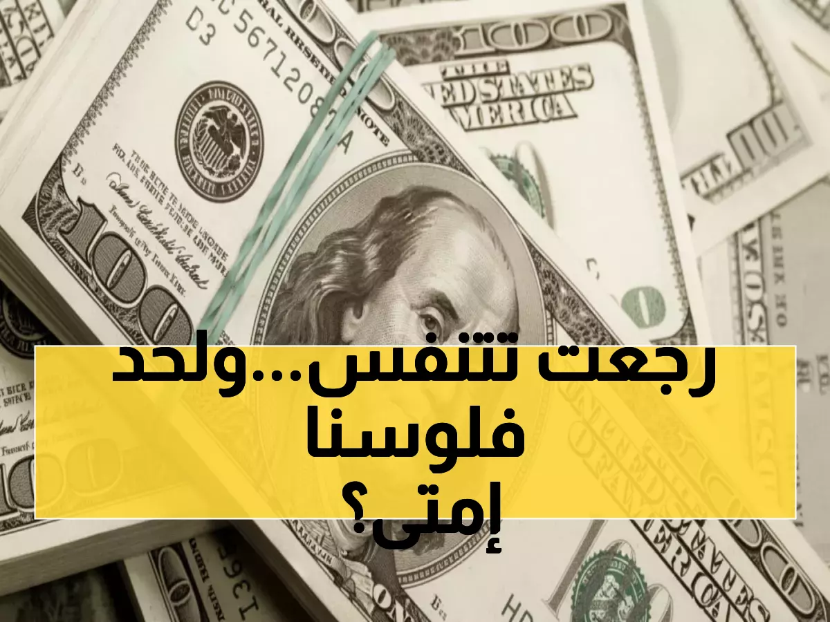 عاجل: الدولار يثبت عند 47.3 جنيه بالأهلي... هل انتهت موجة الارتفاع الجنونية؟