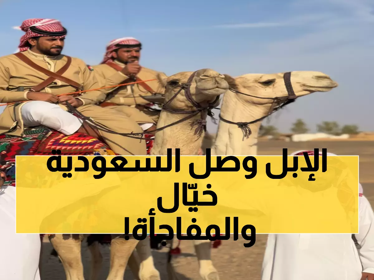 شاهد: رحلة أسطورية على الإبل من الأردن للسعودية تكريماً للملك الحسين - والاستقبال صادم!