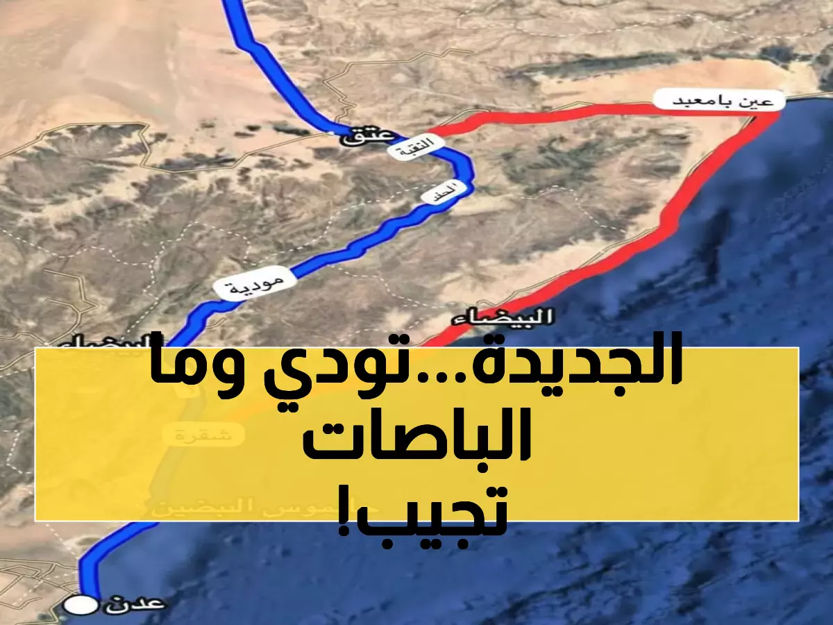 عاجل: مسار الباصات الجديد يحول رحلات المواطنين إلى كابوس… حوادث مأساوية ومعاناة مضاعفة!