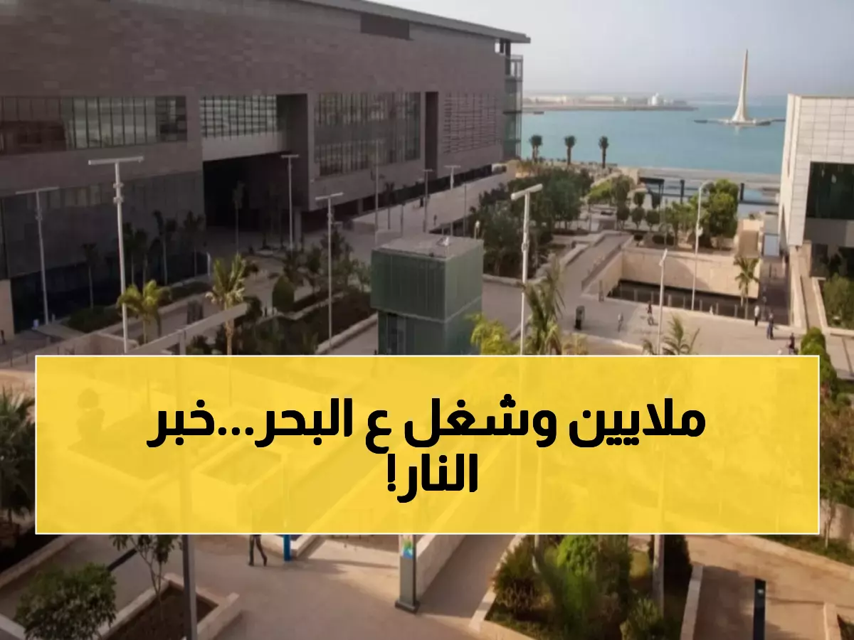 عاجل: جامعة الملك عبدالله تفتح باب الذهب... رواتب خيالية وحياة على البحر الأحمر!