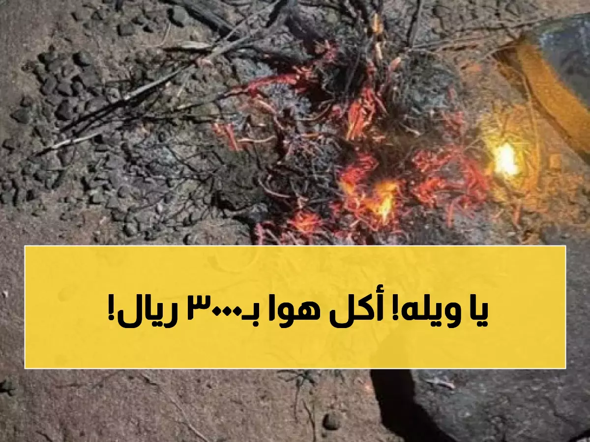 عاجل: ضبط مواطن بالجرم المشهود في محمية الملك - غرامة مدمرة 3000 ريال تنتظره!