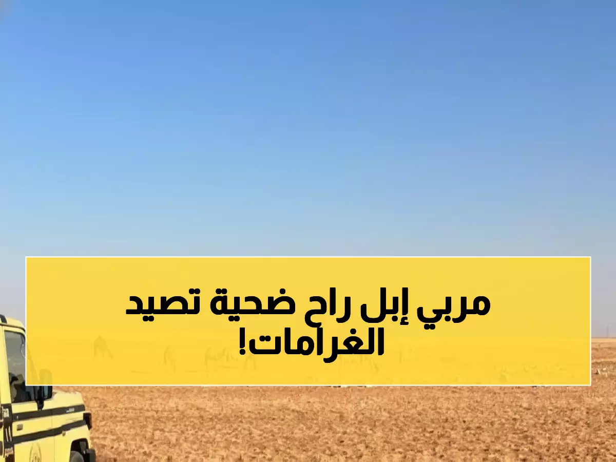 صادم: مواطن يدفع 4500 ريال غرامة بسبب 9 إبل… ما فعلته في المحمية الملكية كلفه ثروة!