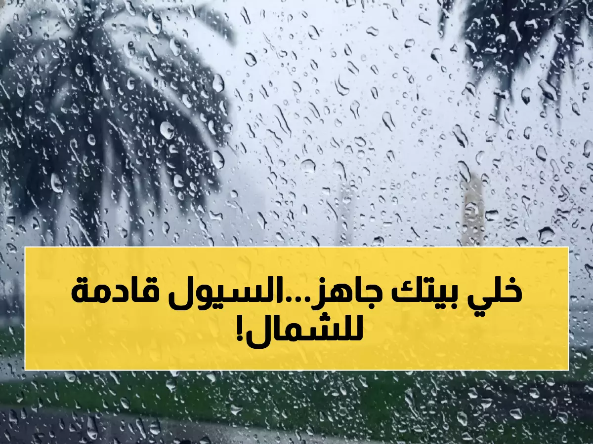 عاجل: الأرصاد تحذر... أمطار غزيرة وسيول تضرب الحدود الشمالية خلال 4 أيام!