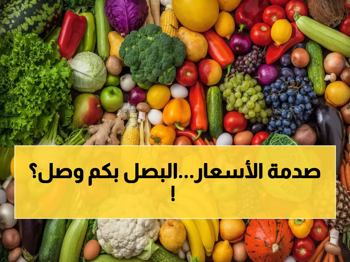 عاجل من عدن: البصل يسجل 8000 ريال - هل تستطيع الأسر تحمل هذه الأسعار؟