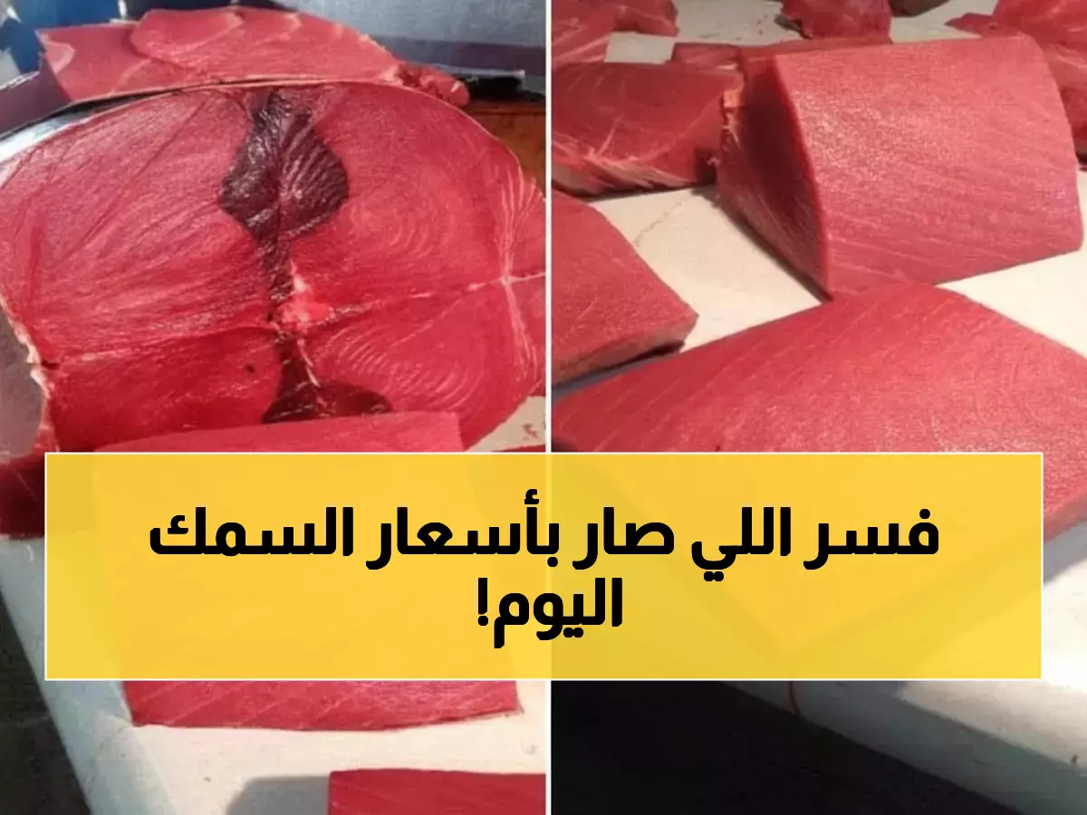 عاجل: صدمة أسعار الأسماك في عدن اليوم... السخلة تقفز لـ16 ألف والديرك يحطم الأرقام!