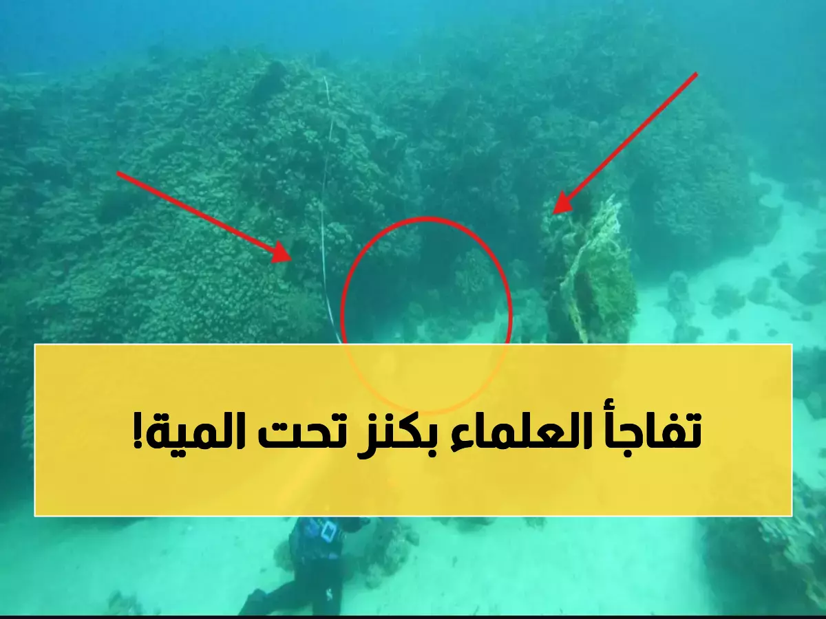 اكتشاف كنز لا يوجد له مثيل في العالم بباطن البحر في السعودية .. والبهجة تدخل على جميع المواطنيين!