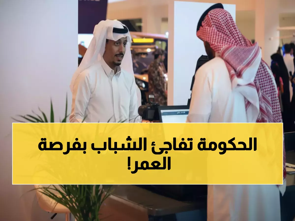 عاجل: 121 وظيفة حكومية ذهبية تفتح أبوابها الآن - رواتب عالية ومناصب قيادية في 4 مدن!