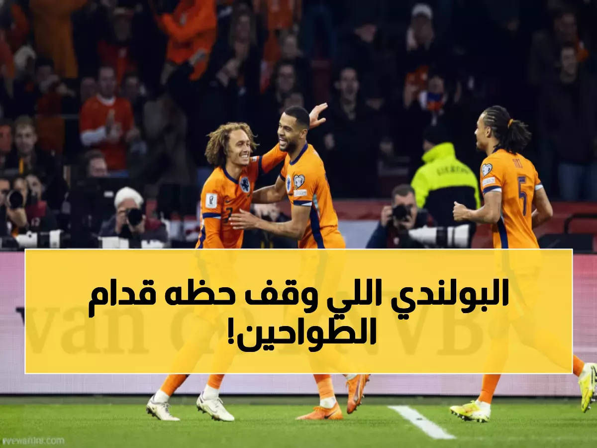 تاريخي: هولندا تكتب اسمها للمرة الـ12 في المونديال... بينما ليفاندوفسكي ينتظر معجزة الملحق؟