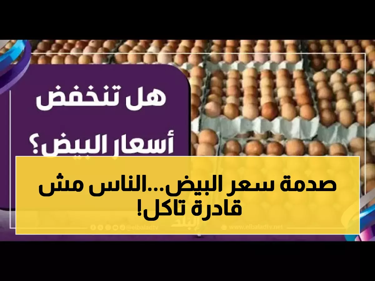 حصري: موجة غضب تجتاح عدن بسبب قفزة البيض الجنونية... مواطنون: لا نستطيع العيش!