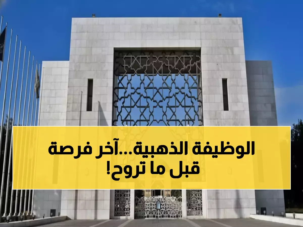 عاجل: جامعة الإمام محمد تفتح 12 كلية للتوظيف - آخر 15 يوماً للتقديم عبر قدرات!