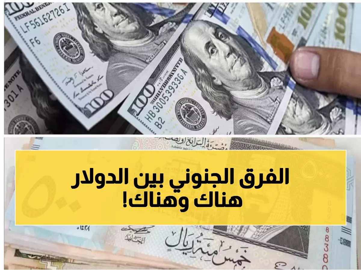 صادم: الدولار في عدن بـ 1622 ريال وفي صنعاء بـ 534 فقط - الفجوة الجنونية التي تدمر اليمنيين!