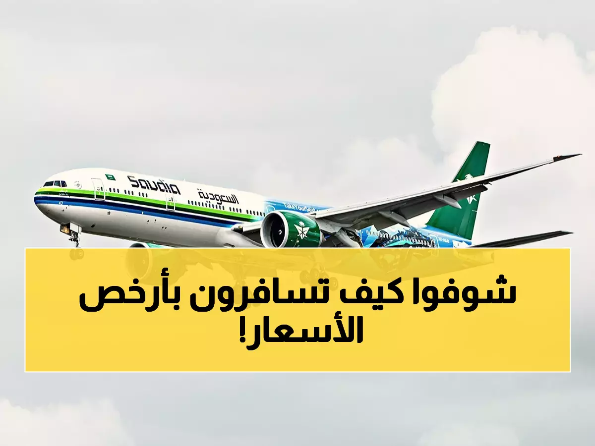 شاهد: كيف ستسافر داخل السعودية بـ349 ريال فقط؟ باقات Flight Pass تقلب موازين الطيران!