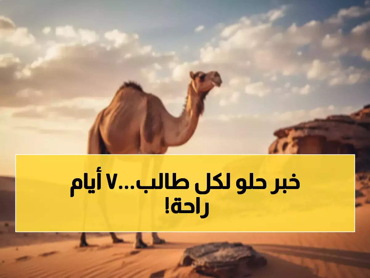 عاجل: السعودية تُعلن رسمياً إيقاف الدراسة 7 أيام متتالية في جميع المناطق - أول إجازة خريفية تاريخية!