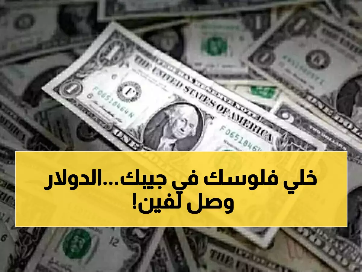 عاجل: المركزي يرفع الدولار 8 قروش... أسعار صادمة في 8 بنوك تضرب جيوب المصريين!