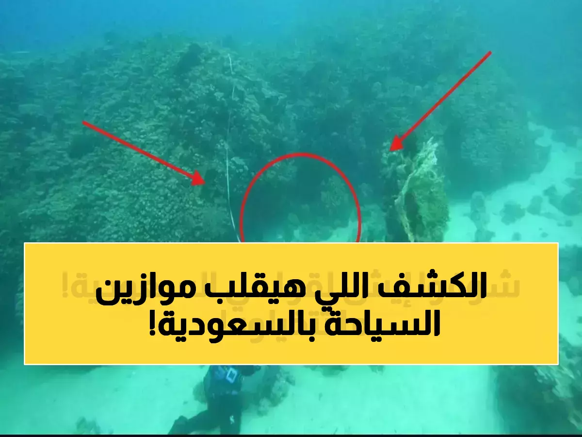 عاجل: السعودية تكشف كنزاً عمره 800 عام في البحر الأحمر - عملاق مرجاني يعيد كتابة تاريخ السياحة العالمية!