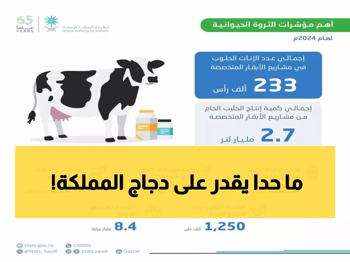 عاجل: السعودية تحطم الأرقام القياسية - إنتاج الدجاج ينفجر بـ13% و8.4 مليار بيضة!