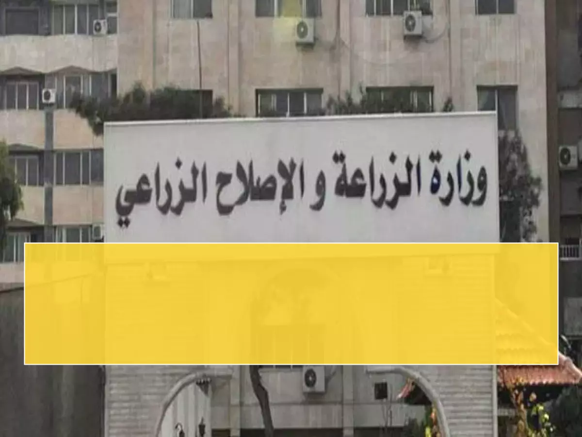 حصري: وزارة الزراعة تفتح باب الترقيات العليا… 8 مناصب استراتيجية تنتظر الكفاءات المصرية!